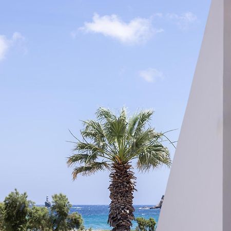Rodavgi Apartments Andros Town Exterior photo