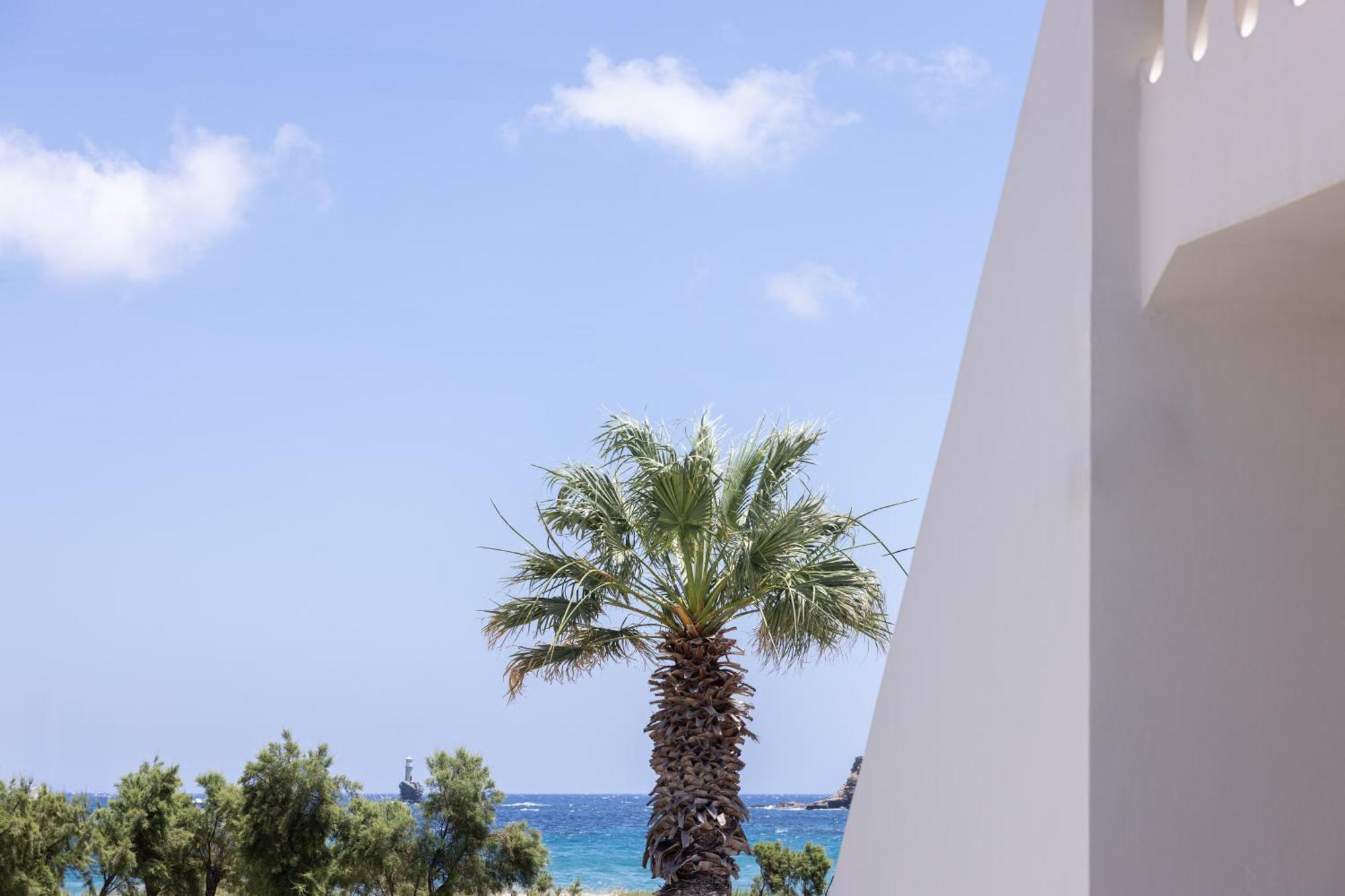 Rodavgi Apartments Andros Town Exterior photo